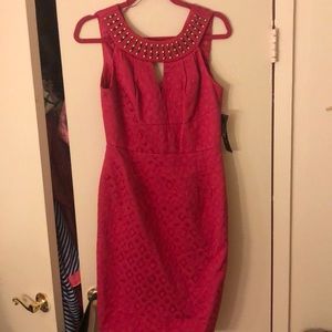 Muse pink midi dress